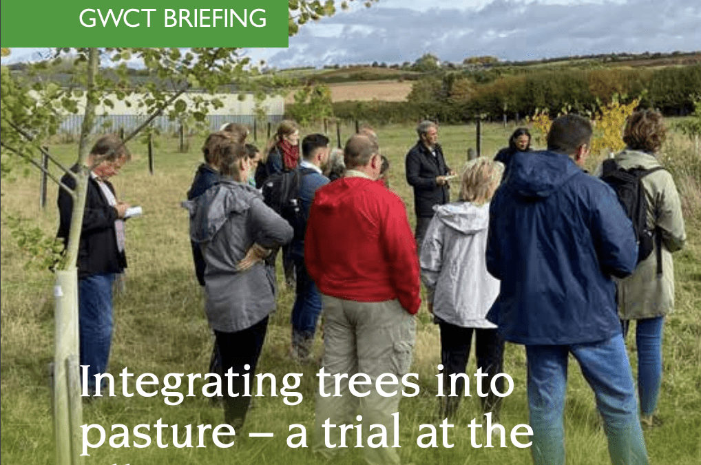 Integrating trees into pasture – a trial at the Allerton Project