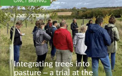 Integrating trees into pasture – a trial at the Allerton Project