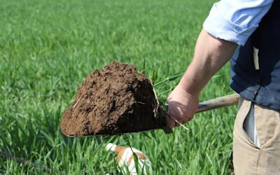 Challenging Soil Conditions in 2024