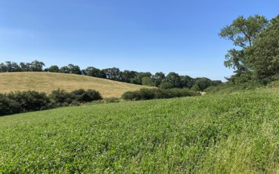 The GWCT Allerton Project Supports the Environmental Farmers Group Members with Knowledge Hub Content on Sustainable Farming and Natural Capital