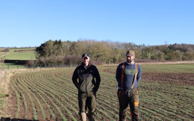 Farm Management at Allerton